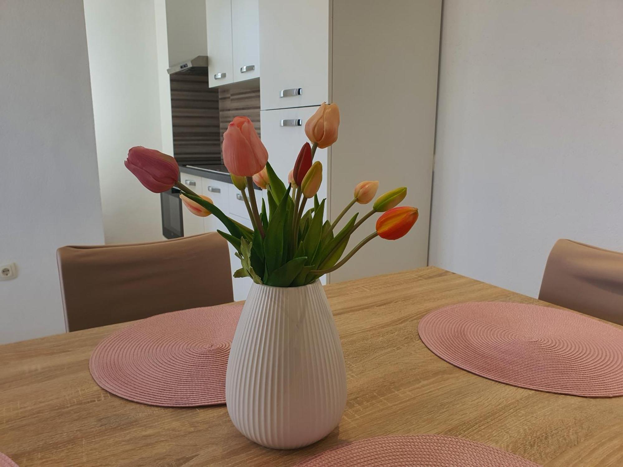 Apartment Rados Дугополе Екстериор снимка